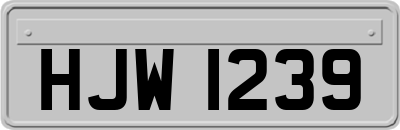 HJW1239