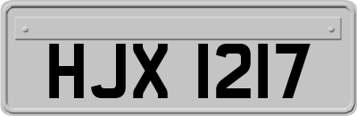 HJX1217