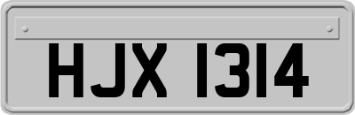 HJX1314