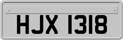 HJX1318