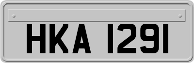 HKA1291