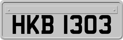 HKB1303