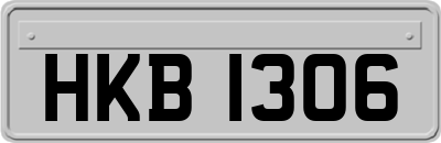 HKB1306