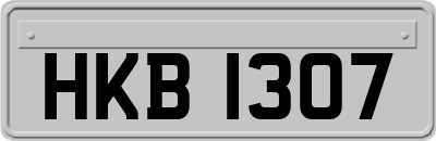 HKB1307