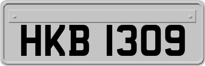 HKB1309