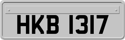 HKB1317