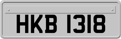 HKB1318