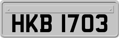 HKB1703