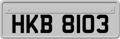 HKB8103