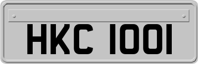 HKC1001