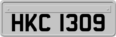 HKC1309