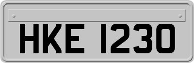 HKE1230