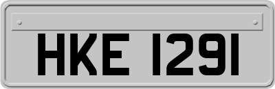 HKE1291