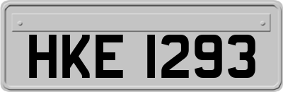 HKE1293