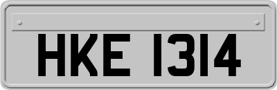 HKE1314