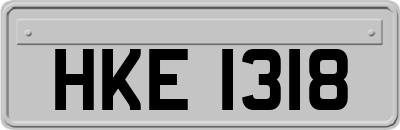 HKE1318