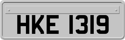 HKE1319