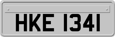 HKE1341