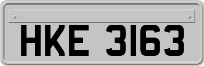 HKE3163