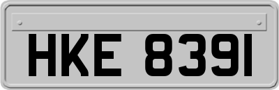 HKE8391