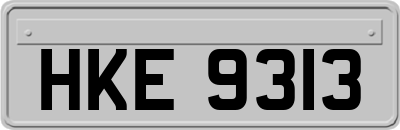 HKE9313