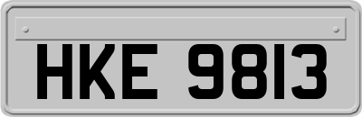 HKE9813