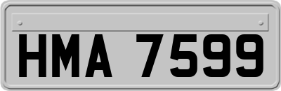 HMA7599