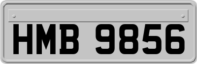 HMB9856