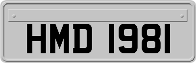 HMD1981