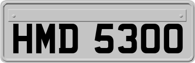 HMD5300