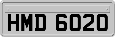 HMD6020