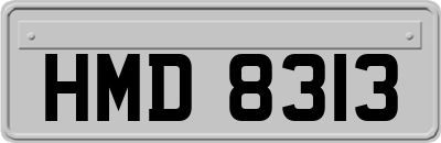 HMD8313