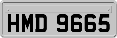 HMD9665