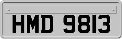 HMD9813