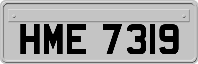 HME7319