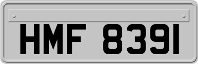 HMF8391
