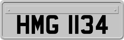 HMG1134