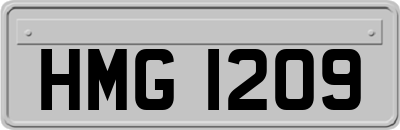 HMG1209