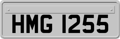 HMG1255