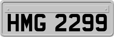 HMG2299