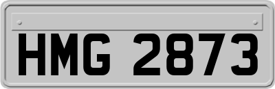 HMG2873
