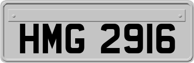 HMG2916