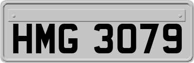 HMG3079