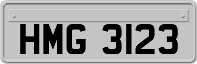 HMG3123