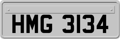 HMG3134