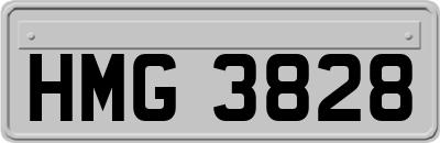 HMG3828