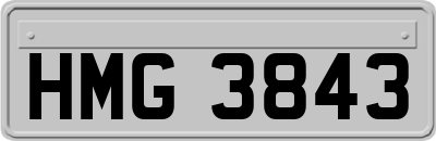 HMG3843
