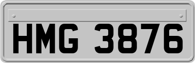 HMG3876