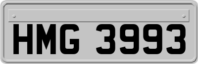 HMG3993