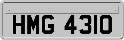 HMG4310